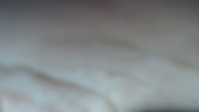 swt shadow online show from February 8, 7:28 pm