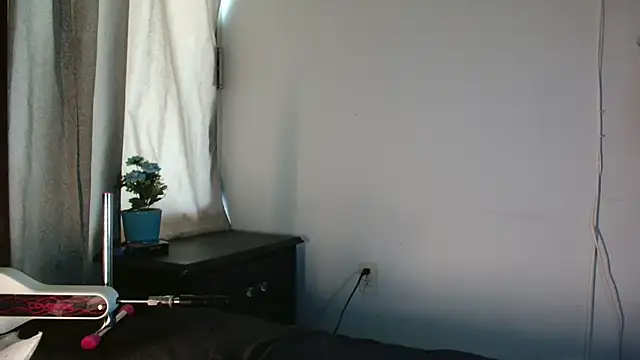 MINI Petite online show from July 26, 6:26 pm
