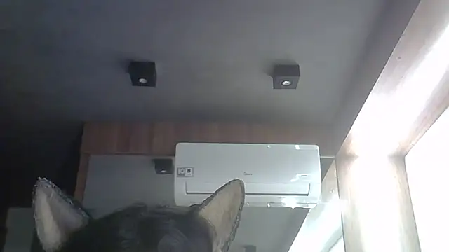 Skinny-Kitten online show from February 5, 12:13 am