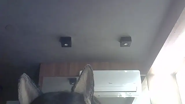 Skinny-Kitten online show from February 28, 2:44 am