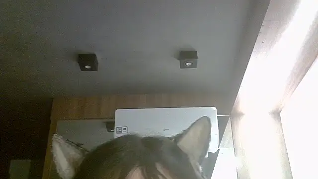 Skinny-Kitten online show from February 24, 1:43 pm