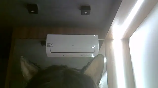 Skinny-Kitten online show from June 15, 4:34 am