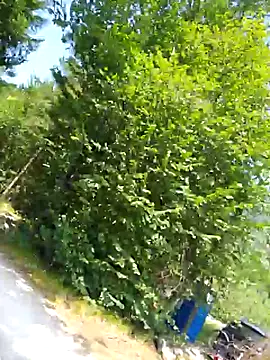 Sexy Sparkling  online show from August 2, 10:29 am
